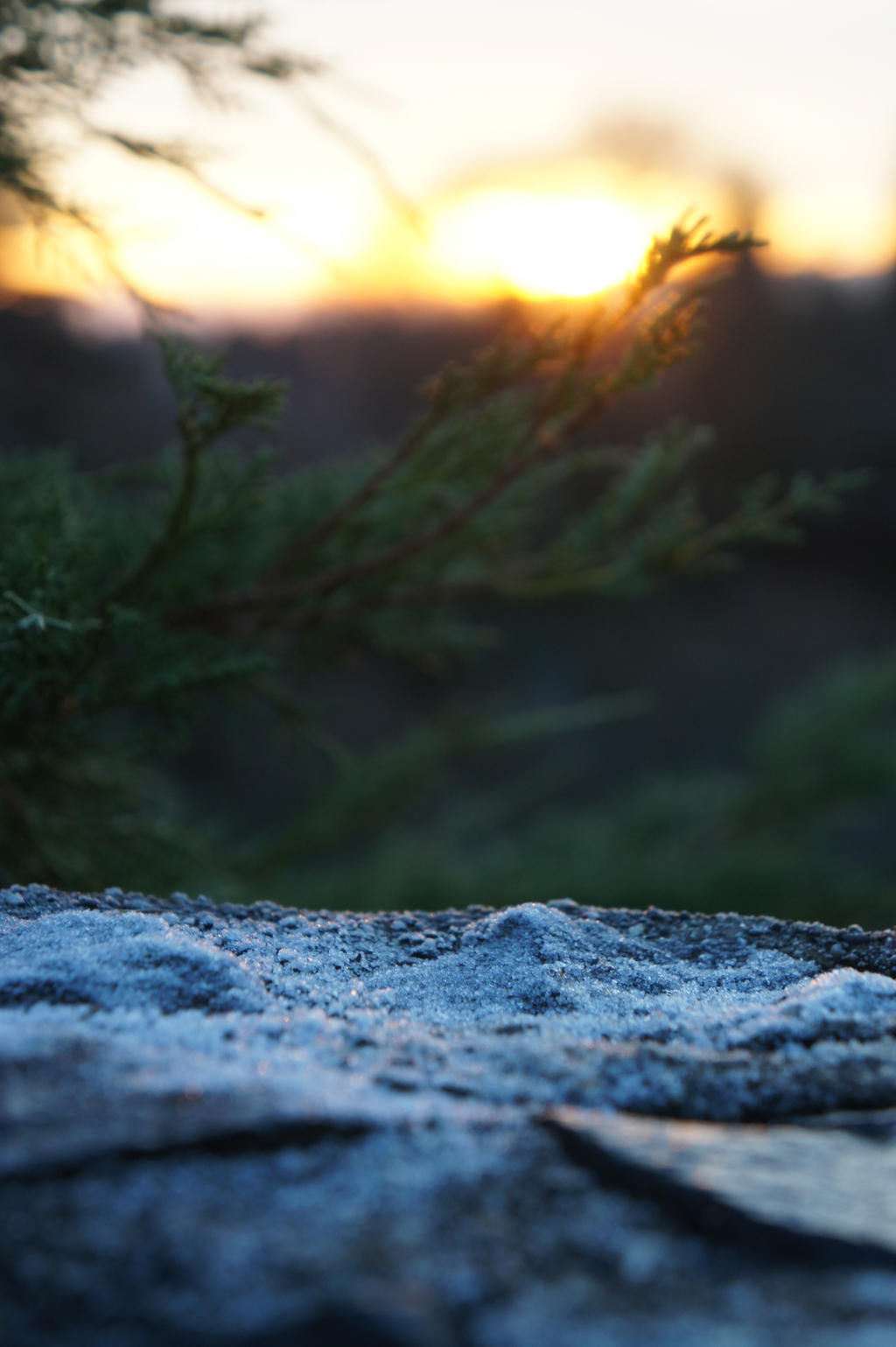 Little Mountain
