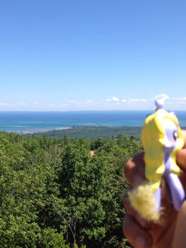 Lily Blossom Overlooking Goergian bay (2)