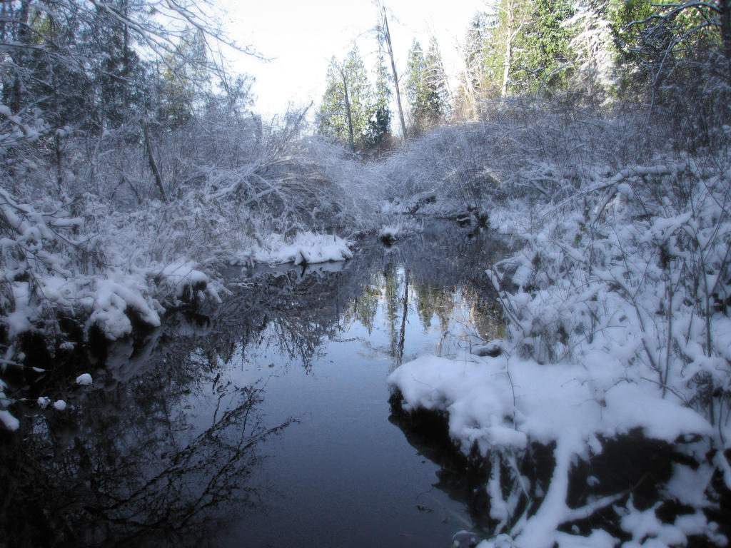 Snowy Stream