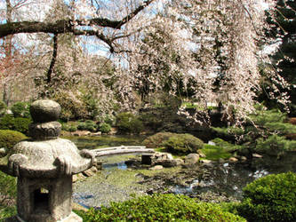 Tranquility Garden