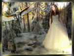 Winter Forest 2012 by nudagimo
