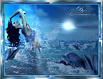 Playing with the dolphins 2013 by nudagimo