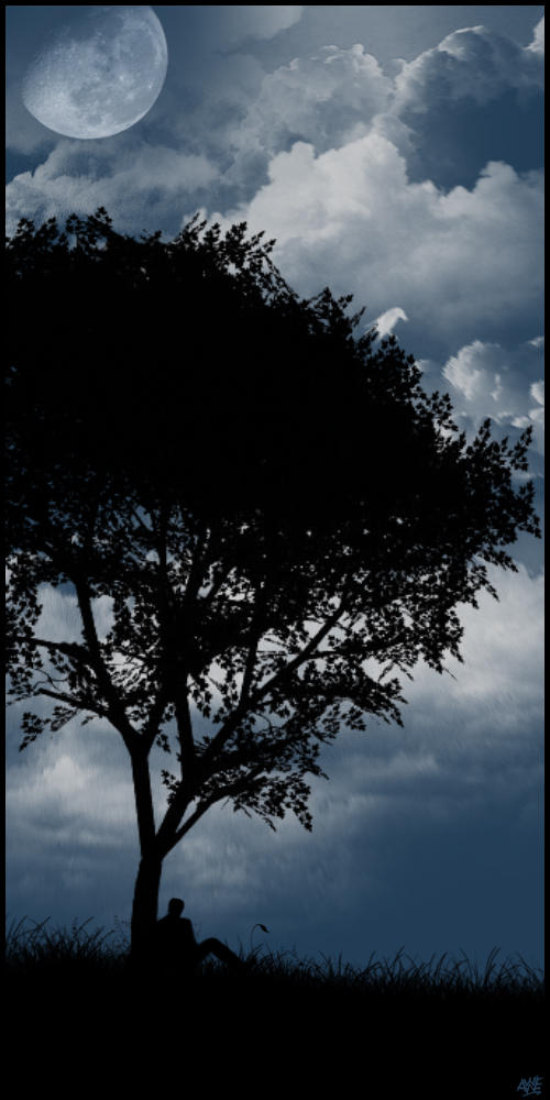 Moonlight Shadow Example Moonlight Shadows by AdonisWerther on DeviantArt