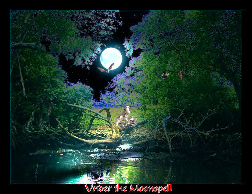 --|- Under the Moonspell -|--