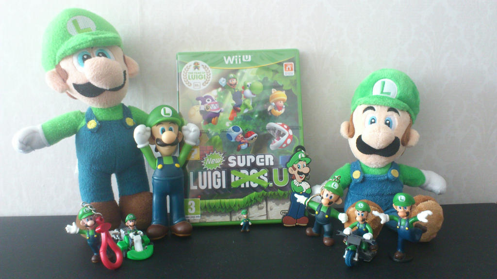 New Super Luigi.U