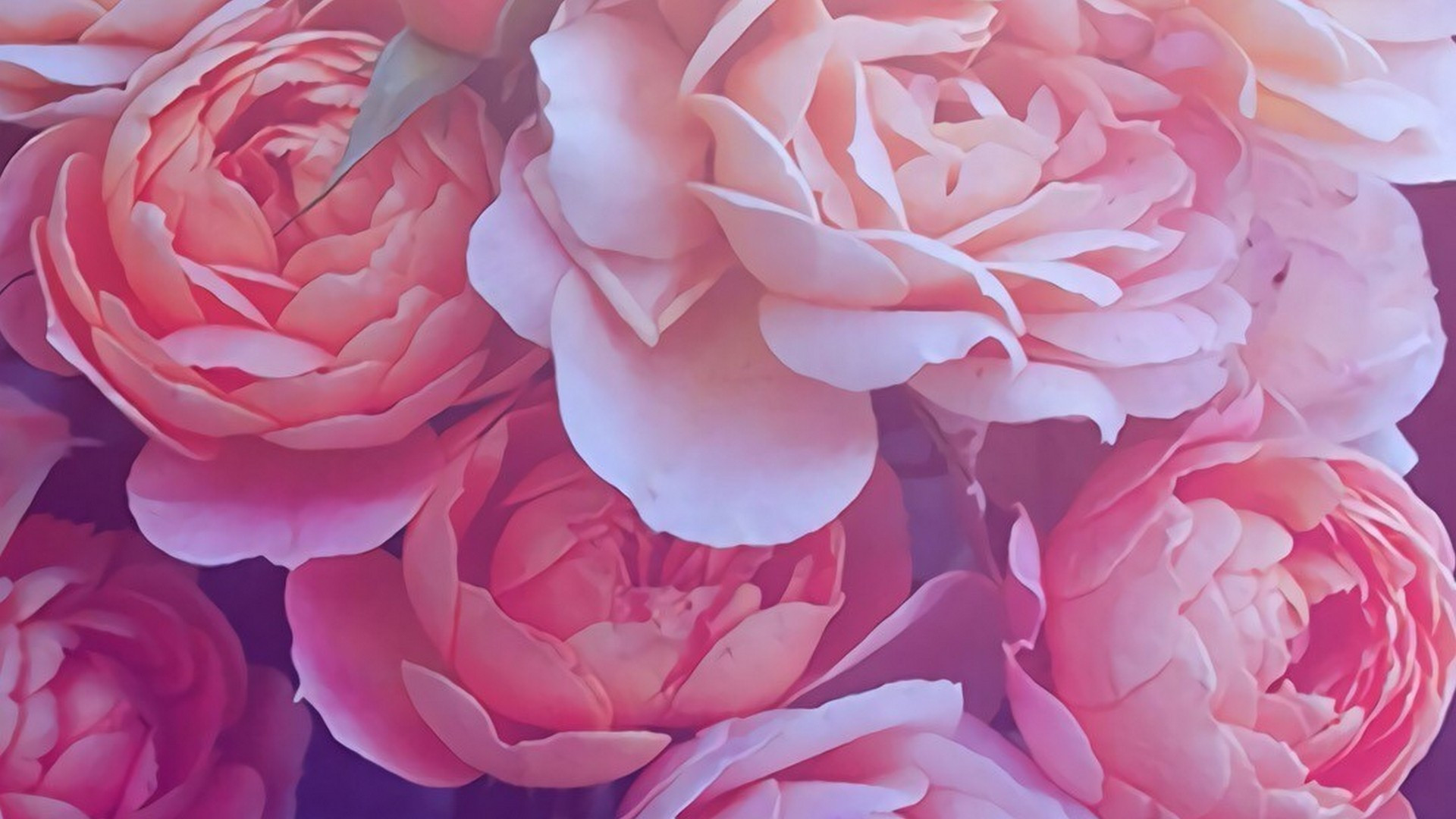 Gold-Rose-Desktop-Backgrounds