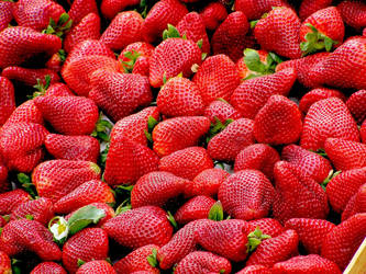 Strawberries-99551 1920