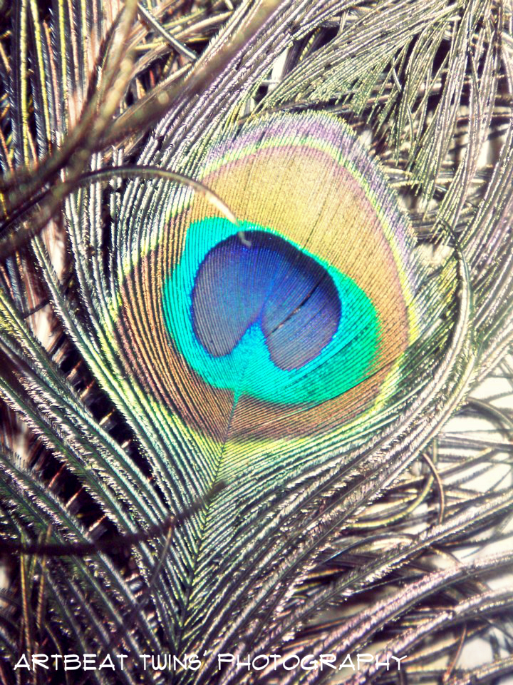 Mor Pankh ( Peacock's Feather ) by ArtBeatTwins on DeviantArt Mor Pankh ( Peacock's Feather ) by ArtBeatTwins on DeviantArt