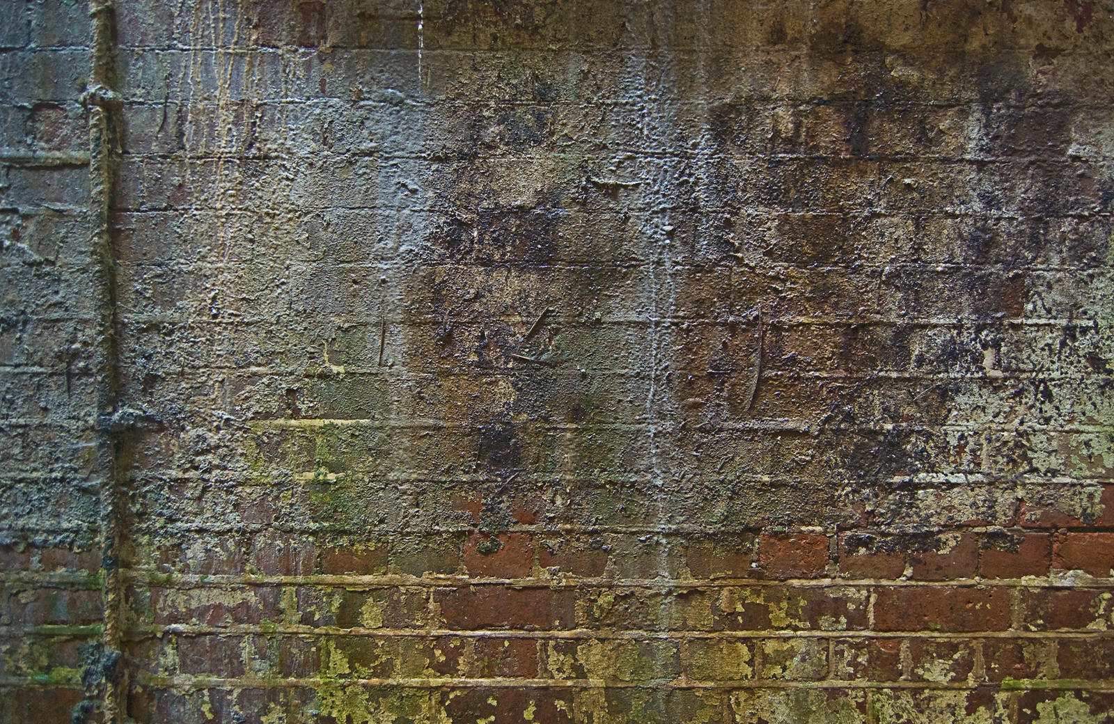 Water Damaged Bricks