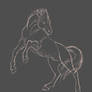 Rearing Horse Sketch