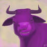 100th deviation: Purple Cow