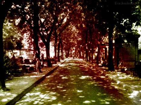 Cemetery in Montmartre