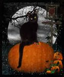 Halloween cat by wotadiamond