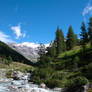 Alpine Landscape..