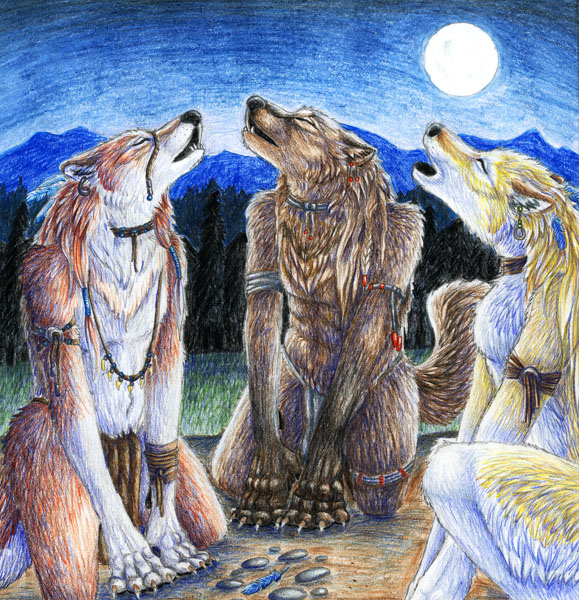 3 Wolves and a Moon