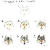 Wolf head and fur tutorial
