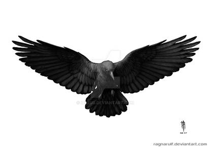 Crow Tattoo Design