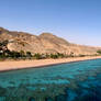 The Coral Reef of Eilat