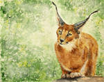 Caracal by Olvium