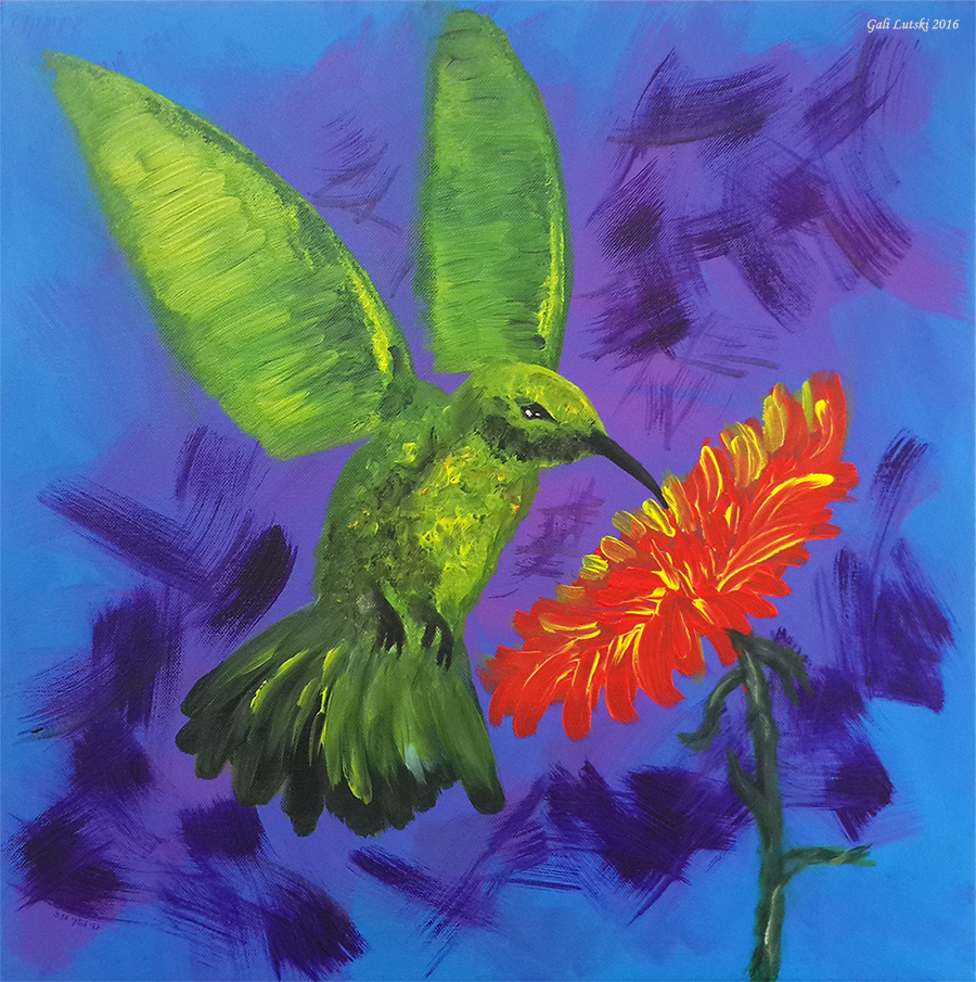 Hummingbird