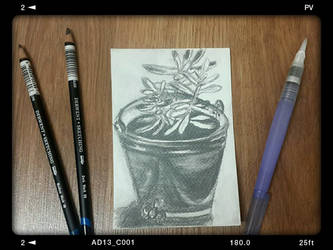 Water-soluble Graphite Demonstration from life