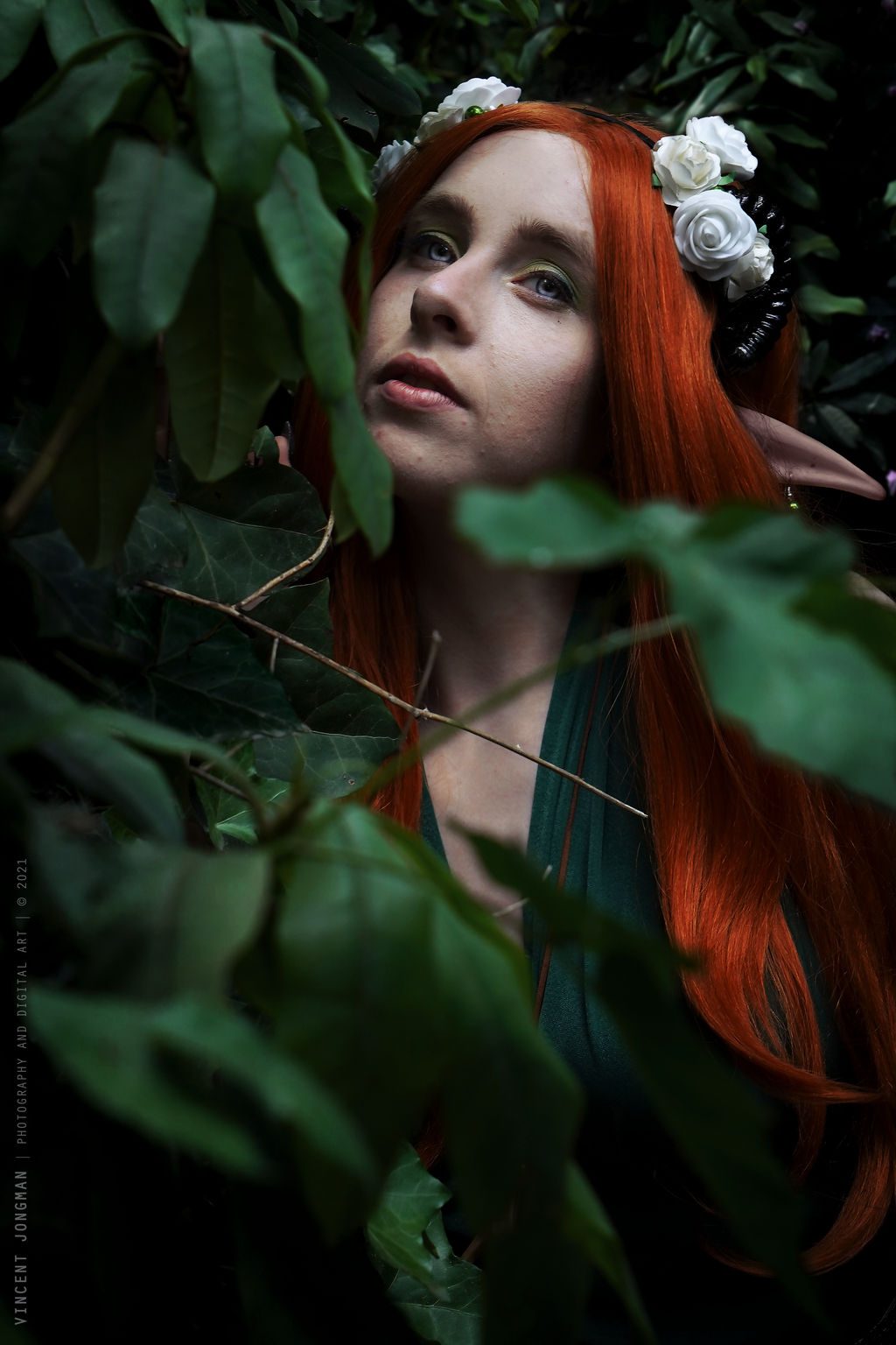 A glance at Autumn