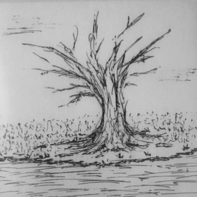 Small Tree Sketch