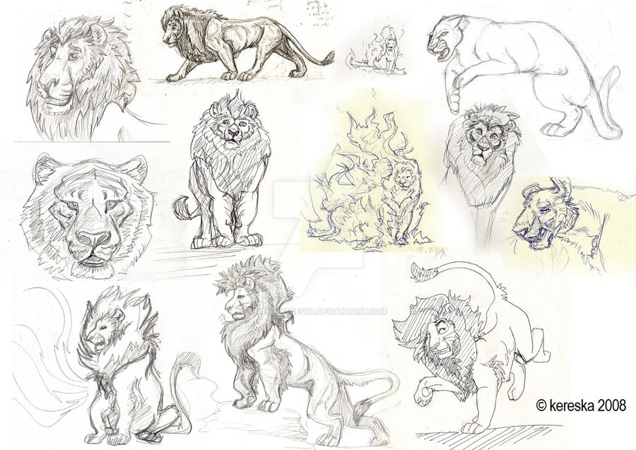sketches 16 - big cats by kery-kereska on DeviantArt