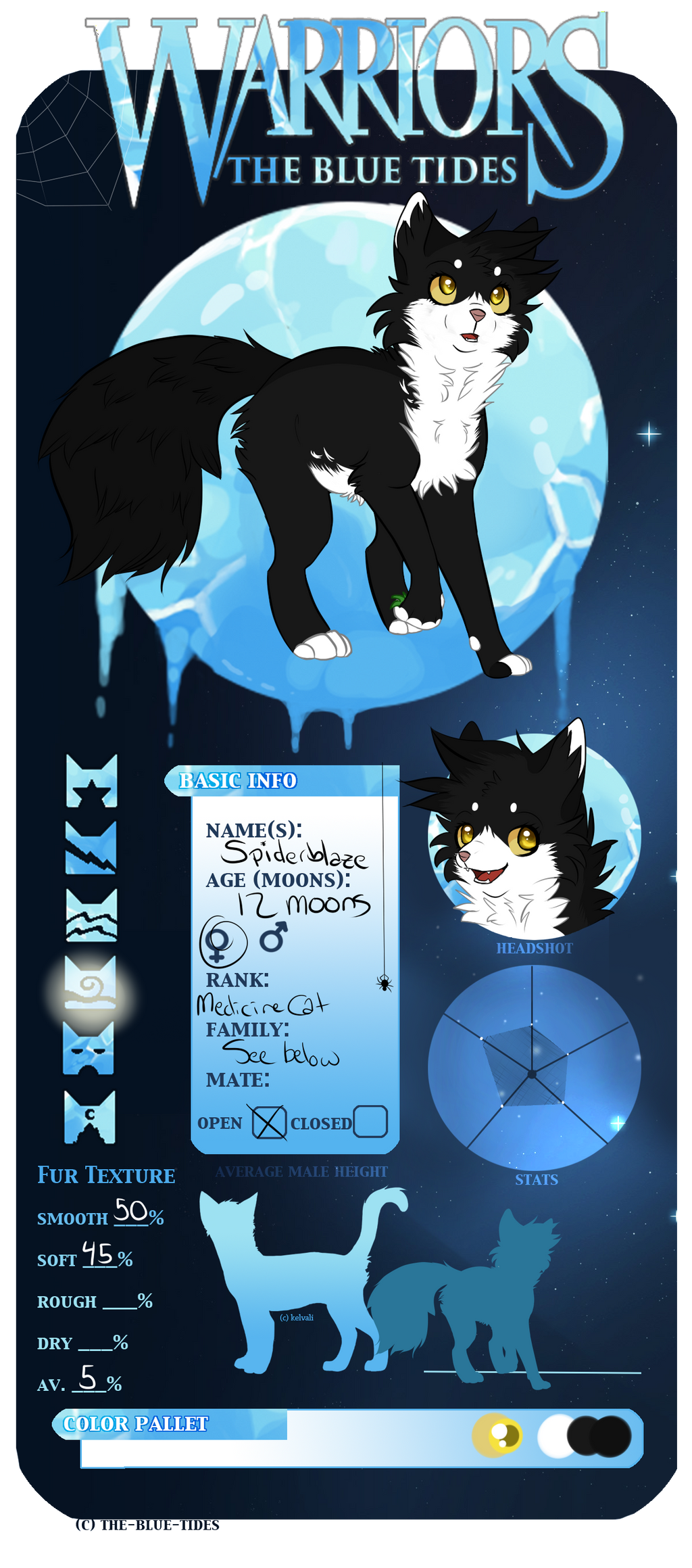 TBT | Spiderblaze | Windclan Medicine Cat