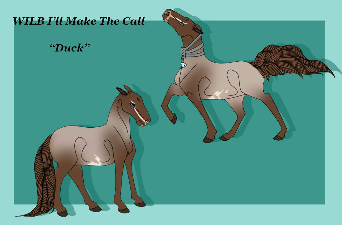 Duck Riding Deviantart Duck by RainpetalArts on DeviantArt