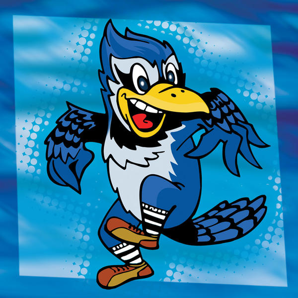 Bluejay by Haaspodge on DeviantArt