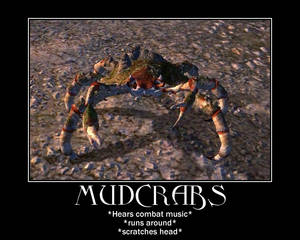 Mudcrabs