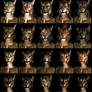 Skyrim races- Khajiit