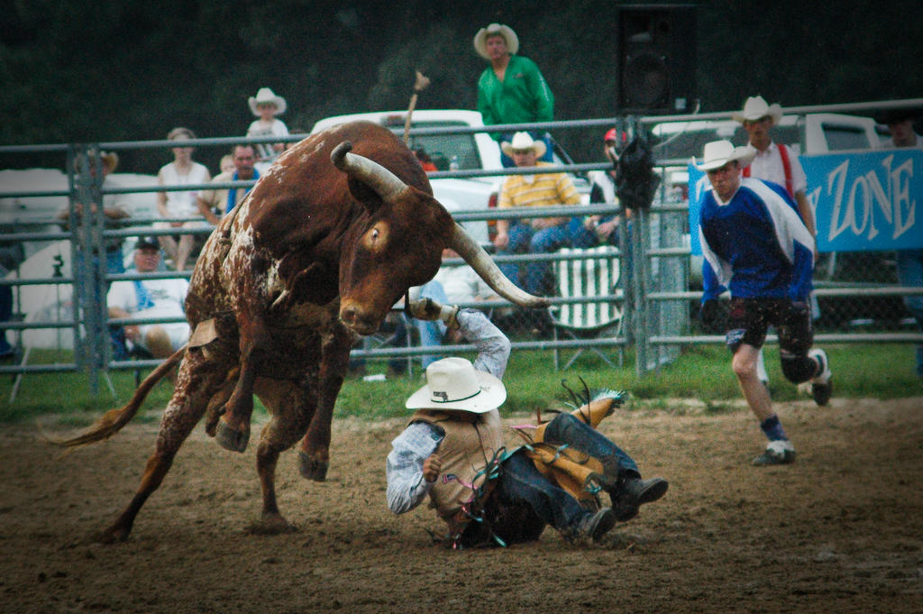 Bullrider 1 by buddyphil on DeviantArt