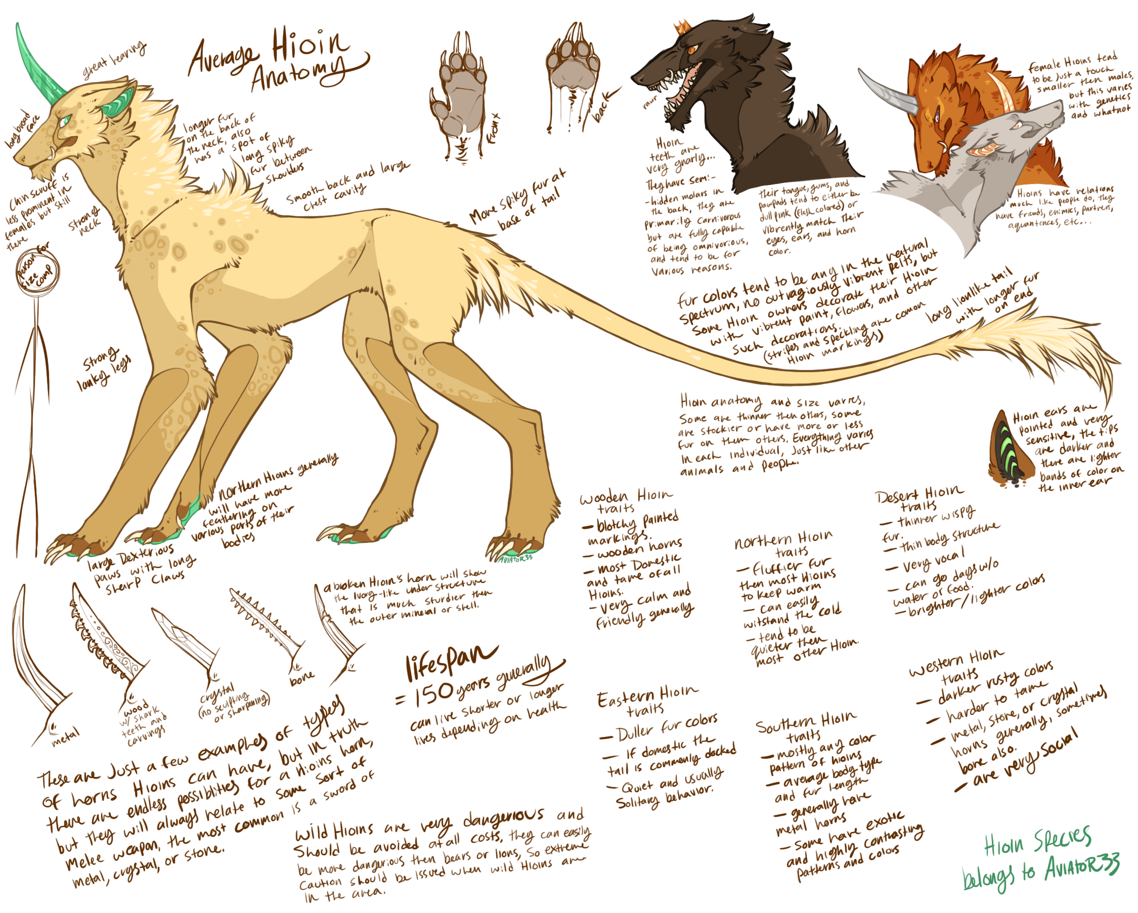 Hioin Species Sheet