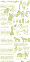 Species Anatomy Tut/Guide