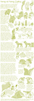 Species Anatomy Tut/Guide by Hauket