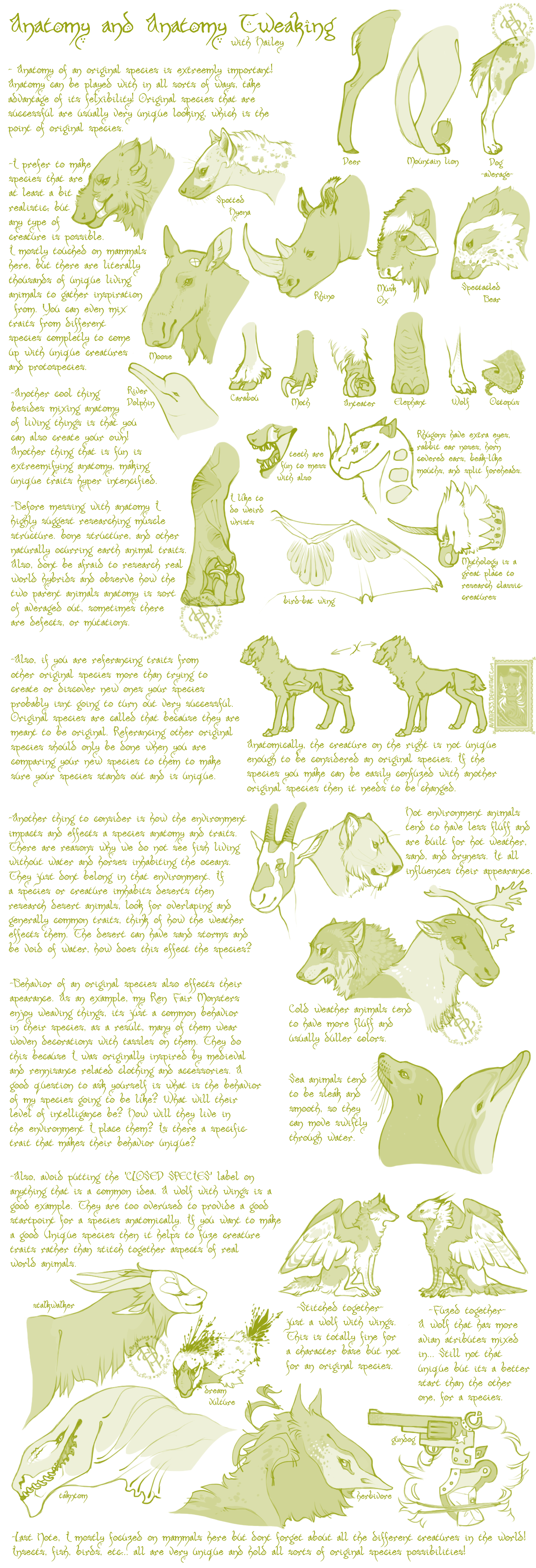 Species Anatomy Tut/Guide