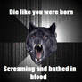 Insanity Wolf V