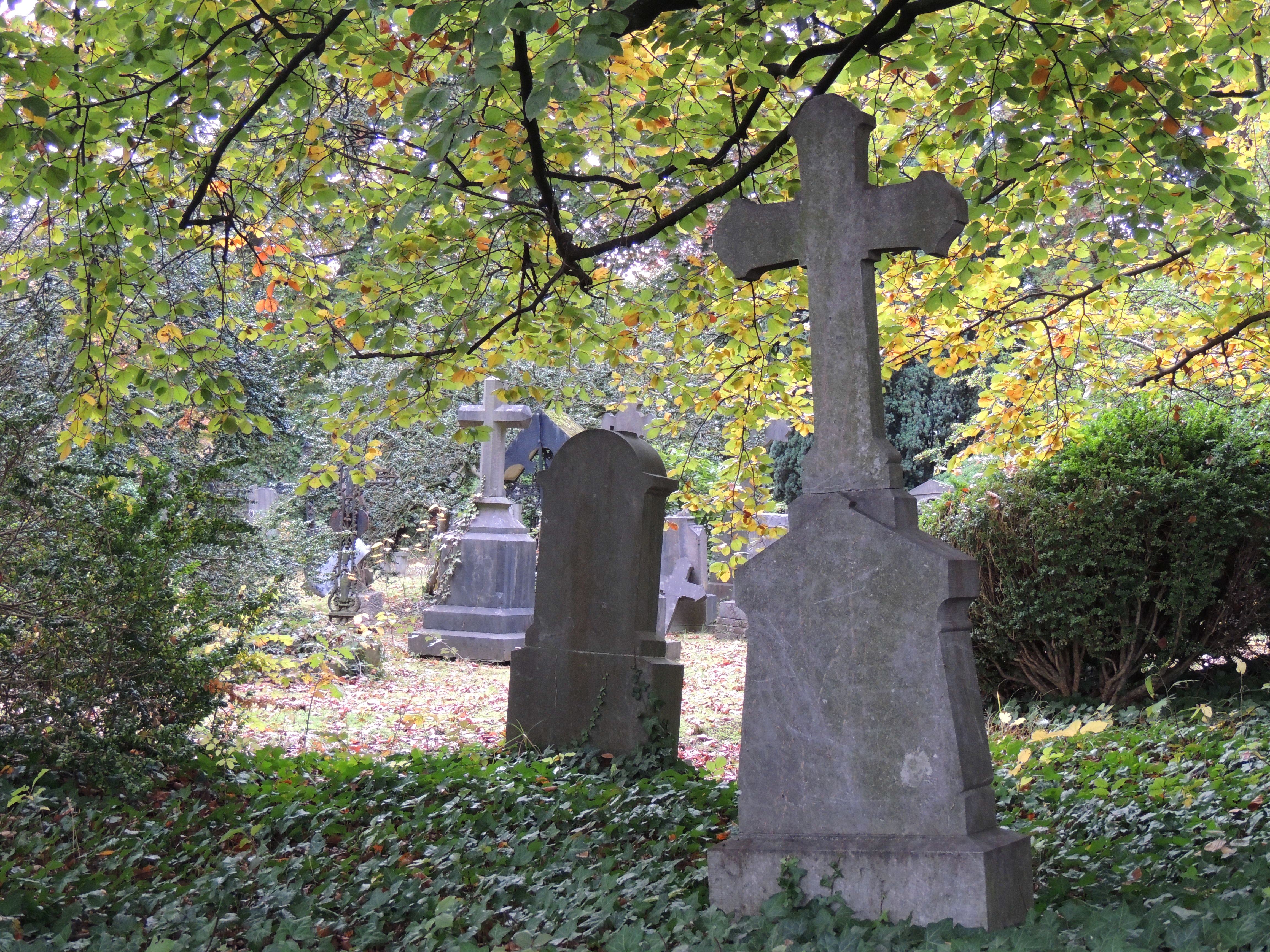 Old Cemetery I