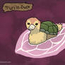 Turtle Duck