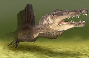 A Good Swimmer Called The Spinosaurus