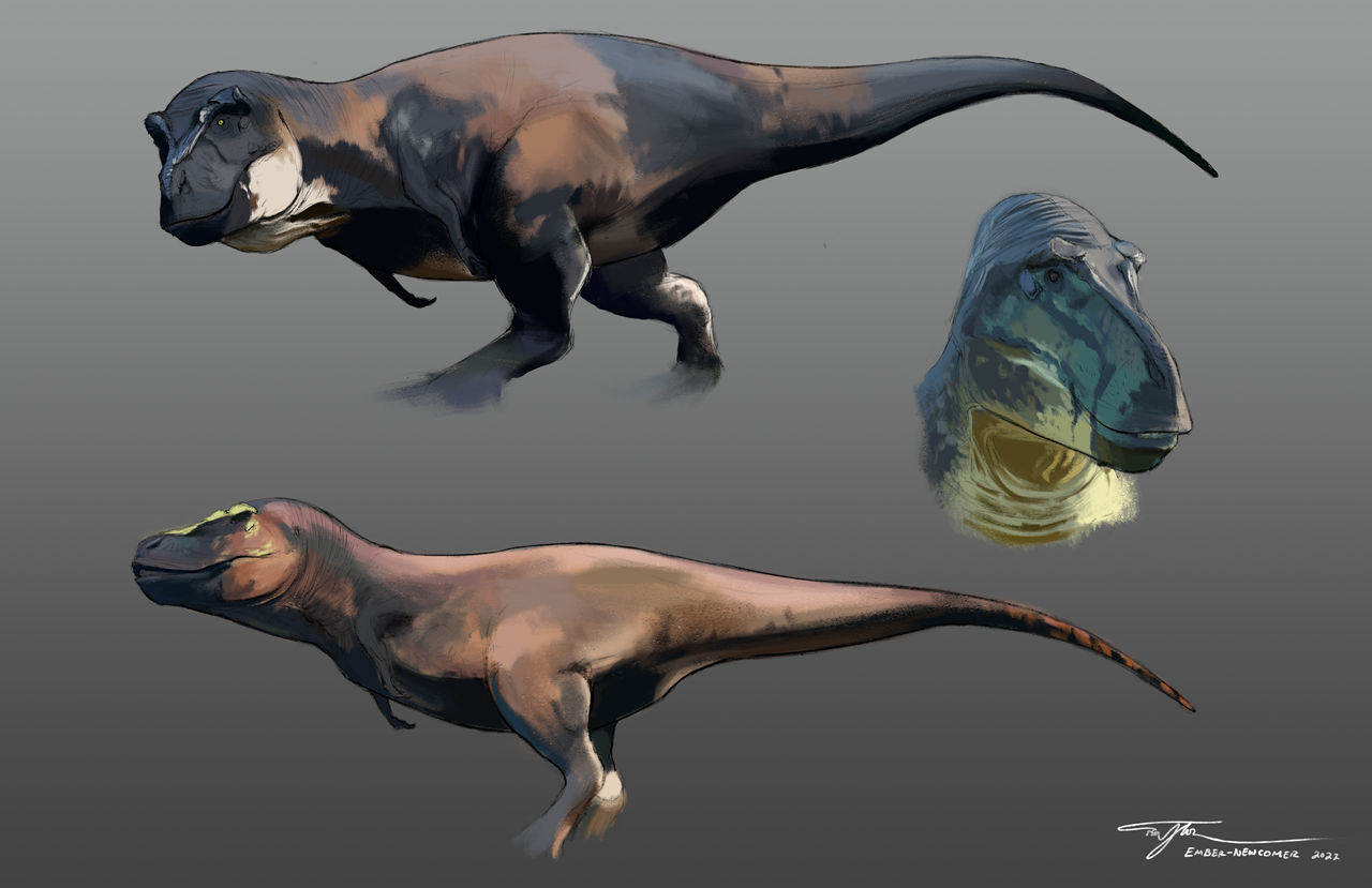 Rex Sketch by Ember-Newcomer on DeviantArt