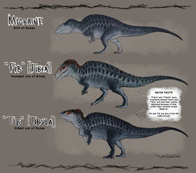 Acrocanthosaur Family (Relatives of Bones)