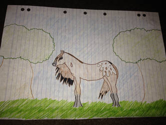 My Fanmade Horse, Dewdrop