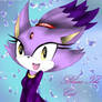 Blaze The cat