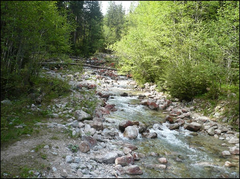 Mountain Stream