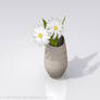 3D Vase Design