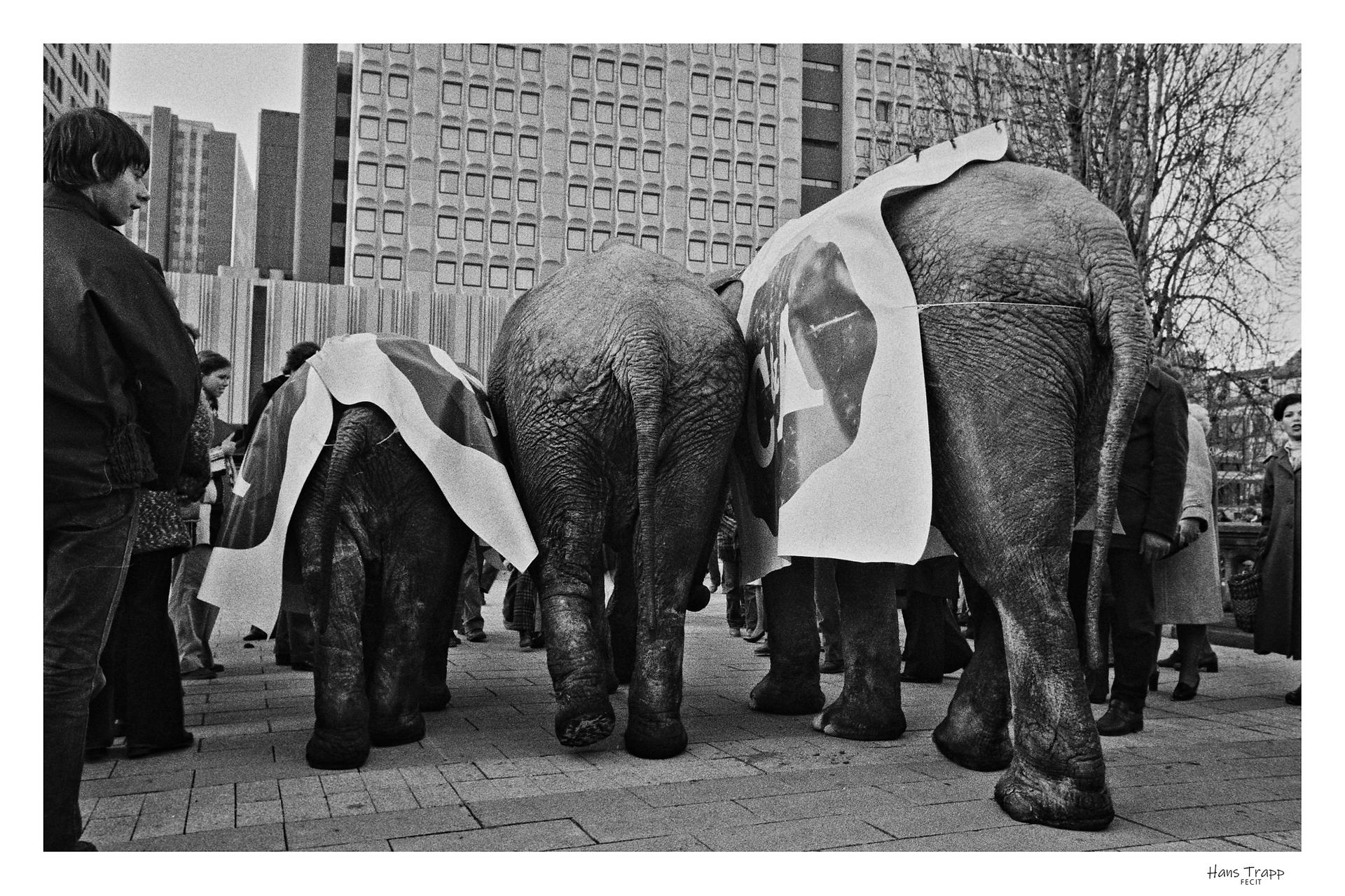 Big bottoms!