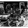 Rough Rider